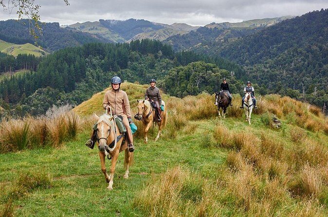 High Country Enchantment Full-Day Horse Trek - Final Thoughts