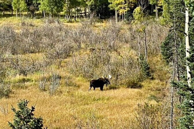 High Country Old West 4X4 Jeep Tour - Who Should Consider This Tour?