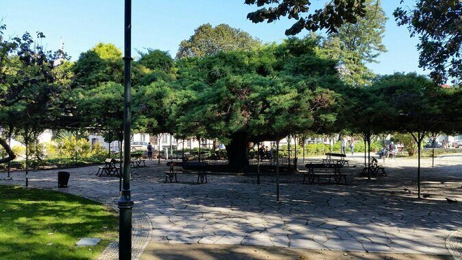 High-End Exclusive Food and Wine Tour Lisbon with a Winemaker - Key Points