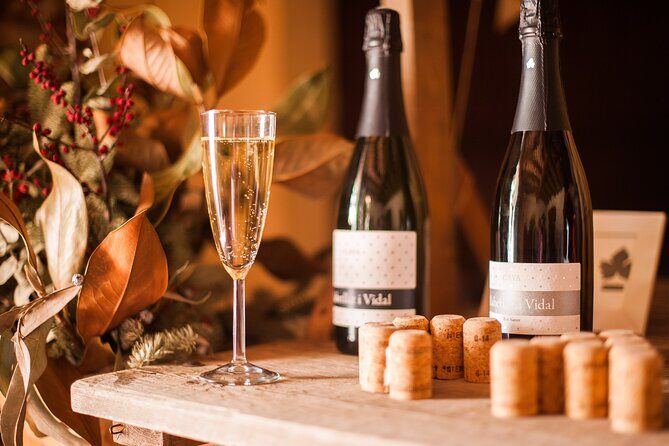 High-End Vineyard Escape: Cava, Tapas & Wine | Private Tour - FAQs