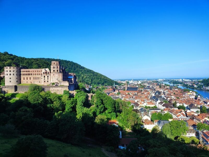 High Lights of Heidelberg - Private Tour of Castle and Town - Who Is This Tour Best For?