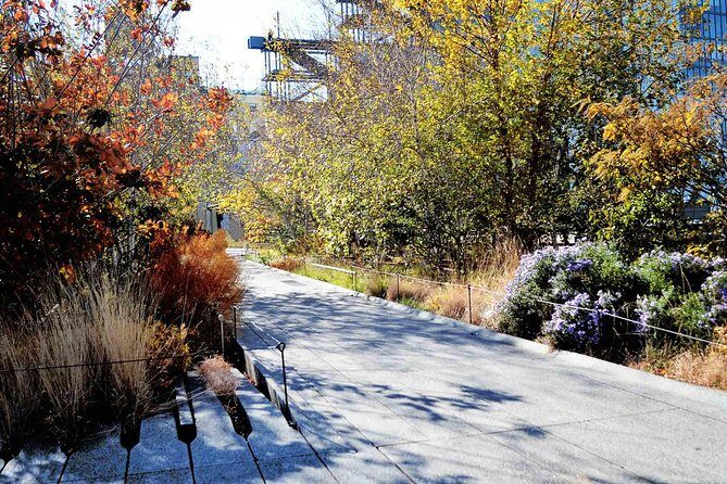 High Line and Chelsea Small Group Tour - Who Would Love This Tour?
