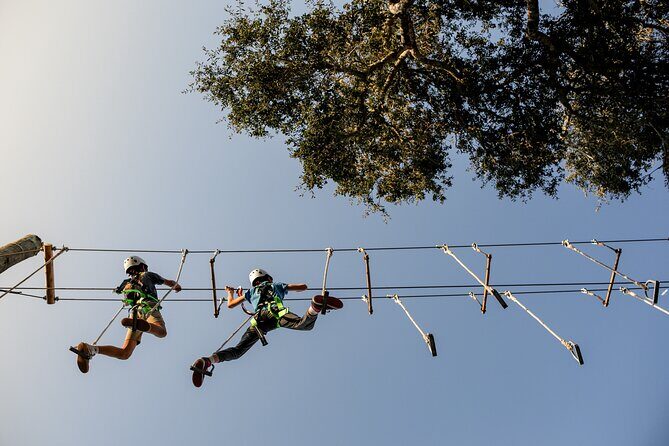 High Ropes Adventure Course near Santa Barbara - What You Can Expect from the High Ropes Adventure Course