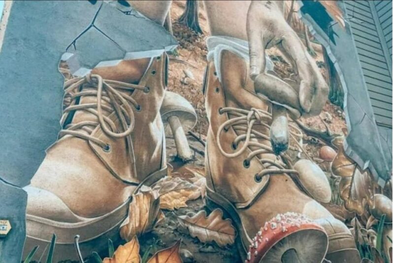 Highland Cows Glasgow Cathedral Kelpies Tour from Edinburgh - Who Will Love This Tour?