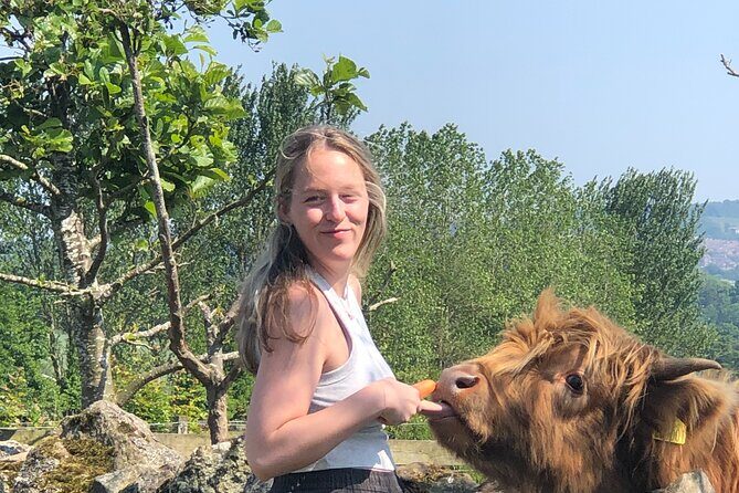 Highland Cows, Walk Alpacas & Visit a Scottish Wildlife Centre - FAQs