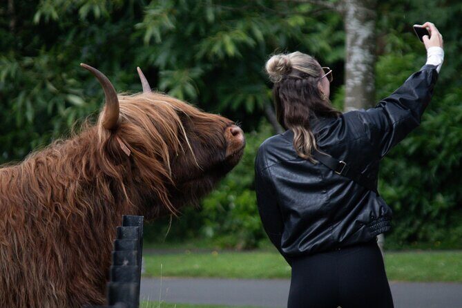 Highlands Cows Glencoe and Castles Private Tour from Glasgow - Exploring Oban