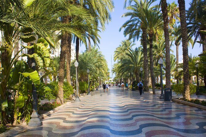 Highlights & Hidden Gems With Locals: Best of Alicante Private Tour - An In-Depth Look at the Tour