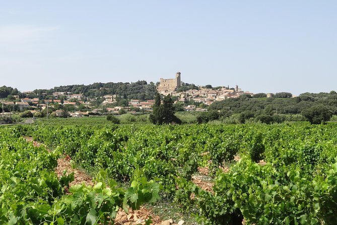 Highlights of Provence : Chateauneuf du Pape & Luberon - Key Points