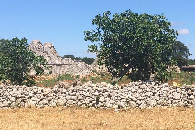 Highlights of Puglia: Bari, Alberobello and the charming villages - Key Points