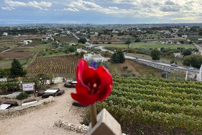 Highlights of Puglia: Bari, Alberobello and the charming villages - FAQ