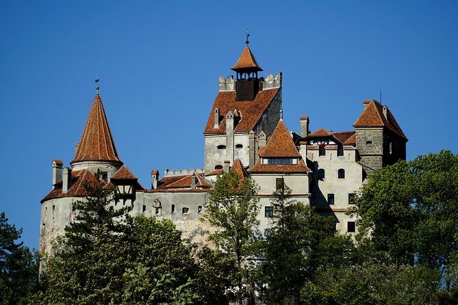 Highlights of Transylvania - private tour - What Travelers Say: Authentic Feedback