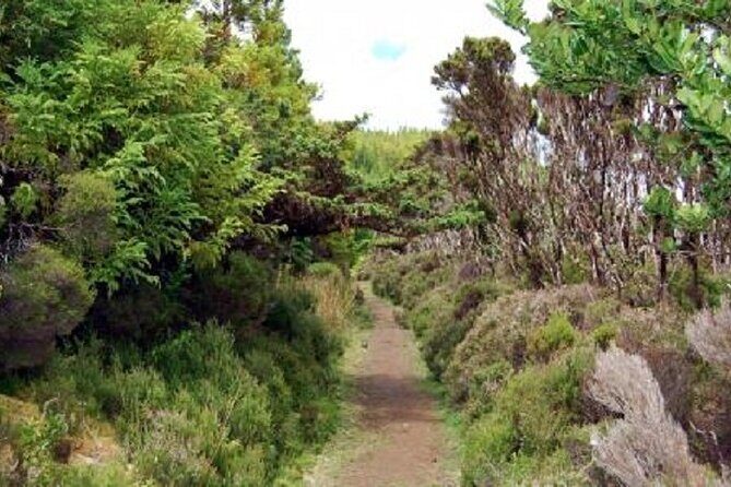 Hike 3 hours Inland Terceira Island - Key Points