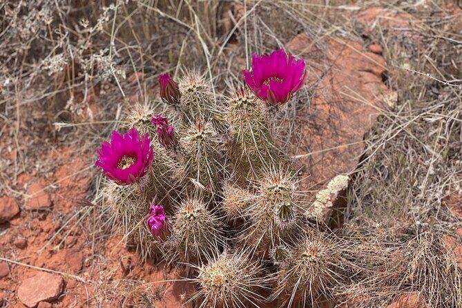 Hike and Heal Couples Relationship in Sedona Healing Red Rocks - Practical Details and Tips