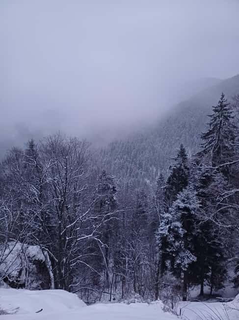 Hike and Sled in Borovets & Visit the Royal Bistritsa Palace - The Experience from Other Travelers