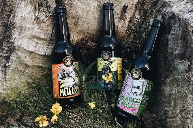 Hike & Beer: beer tasting & breathtaking views at sunset - Exploring Lake Como in a Different Light: What to Expect