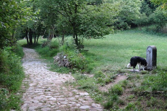 Hike & Beer: beer tasting & breathtaking views at sunset - Final Thoughts: Is This Tour for You?