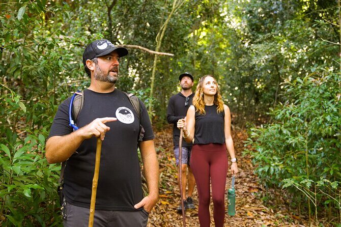 Hike Honolua Ridgeline - Exploring the Honolua Ridgeline: An Eco-Friendly Adventure in Maui