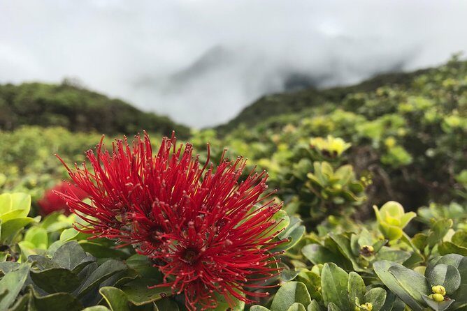Hike Honolua Ridgeline - Cost and Value