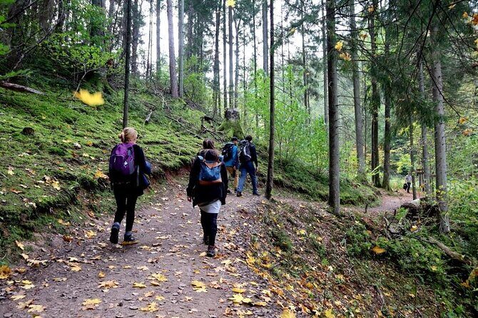 Hike In Gauja National Park - Up And Down The Switzerland Of Latvia - What to Expect on the Gauja National Park Hike