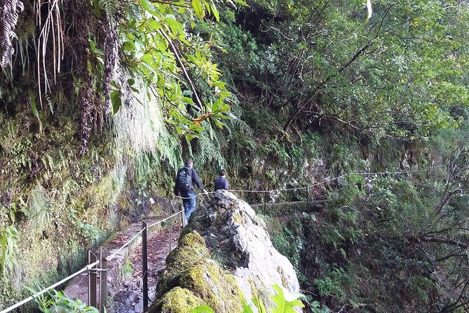 Hike in Laurisilva Levada do Rei - Madre of Life small Group guided walk - FAQ: Your Practical Questions Answered