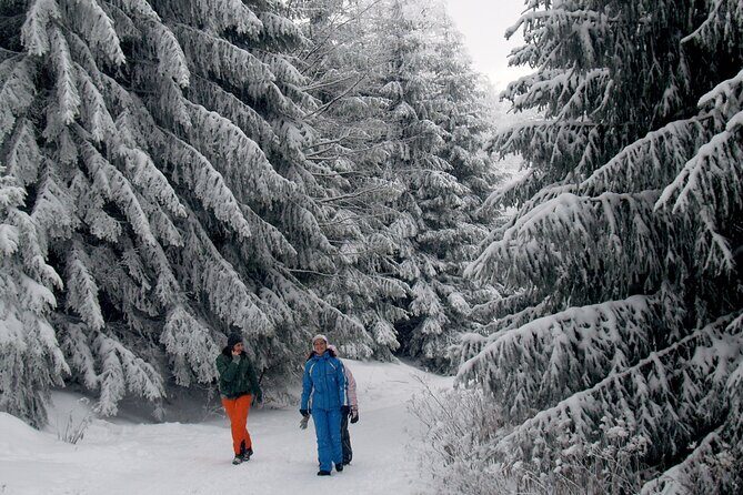 Hike in The Central Balkan National Park - Practical Considerations