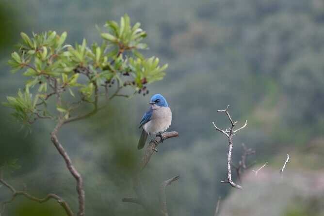Hike in the Sierra de Santa Rosa - Exploring the Sierra de Santa Rosa: A Walk Through History and Nature