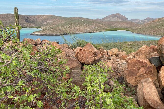 Hike La Paz Balandra Overlook "The most beautiful beach in MX!" - Practical Details and Value