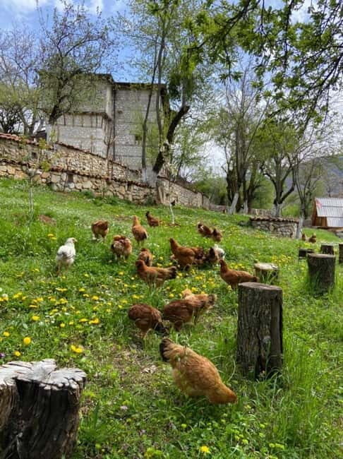 Hike Like Locals: Discover Albania's Hidden Mountain Trail - Wrapping It Up