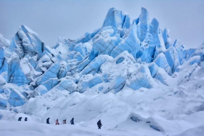 Hike Matanuska Glacier w/Alaska Honey, Wine Tasting - Who Will Love This Tour?