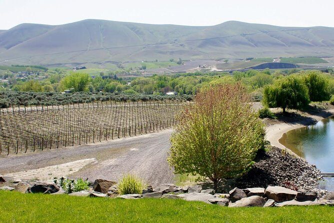 Hike Mt. Rainier & Taste Yakima Valley Wine: All-Inclusive Day Tour from Seattle - Why This Tour Stands Out