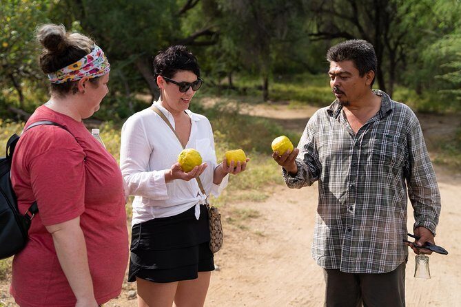Hike the native Pericu road in Sierra de la Laguna. - The Sum Up: Is It Right for You?