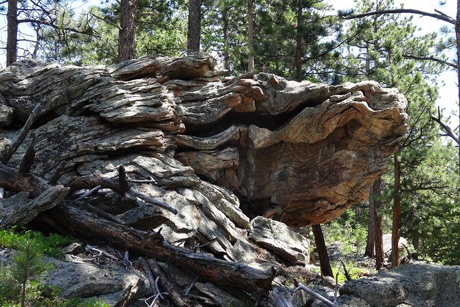 Hike the Rockies Half Day Tour - The Practicalities: Who Should Consider This Tour?