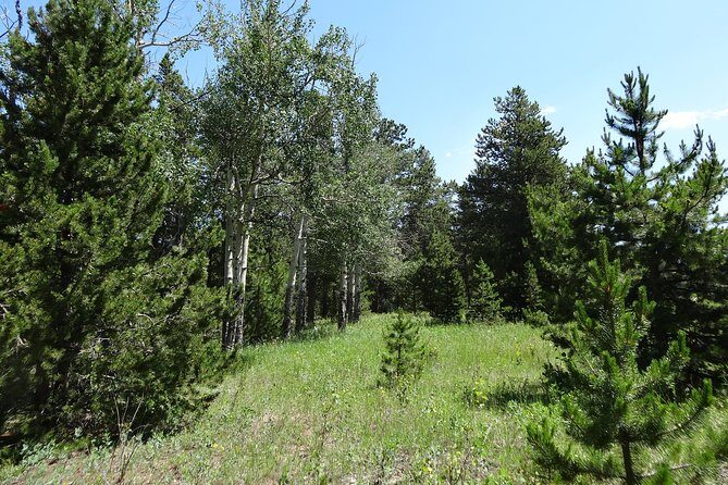 Hike the Rockies Half Day Tour - The Sum Up: Is It Worth It?