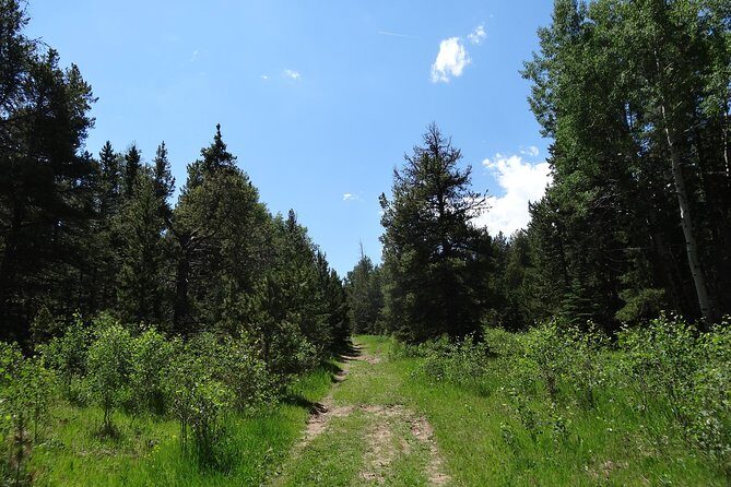 Hike the Rockies Half Day Tour - FAQ