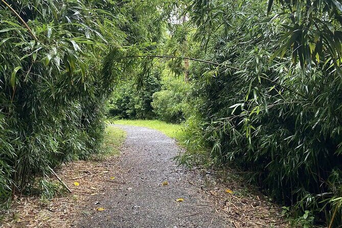 Hike to Connect with Nature and a Power of a Huge Waterfall - Key Points