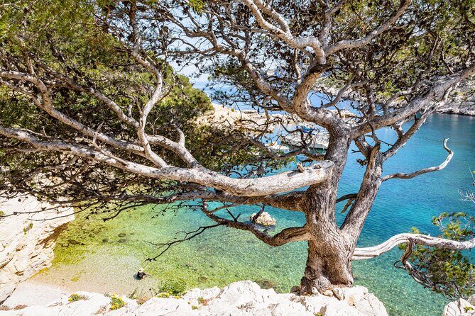 Hike to the Blue Cave Marseille with swimming and snack - Who Is This Tour Best Suited For?