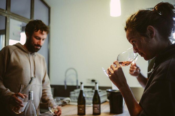 Hike to the top of "Pic Saint Loup", wine & food - Who Is This Tour Best For?