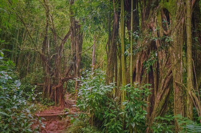 Hike Trail to Waterfall & Nature Walk - Final Thoughts: Is It Worth It?