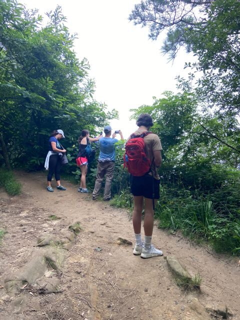 Hike Ulia | San Sebastian: El Camino de Santiago (The Way) - The Itinerary in Detail