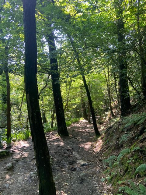 Hike Ulia | San Sebastian: El Camino de Santiago (The Way) - The Value of the Experience