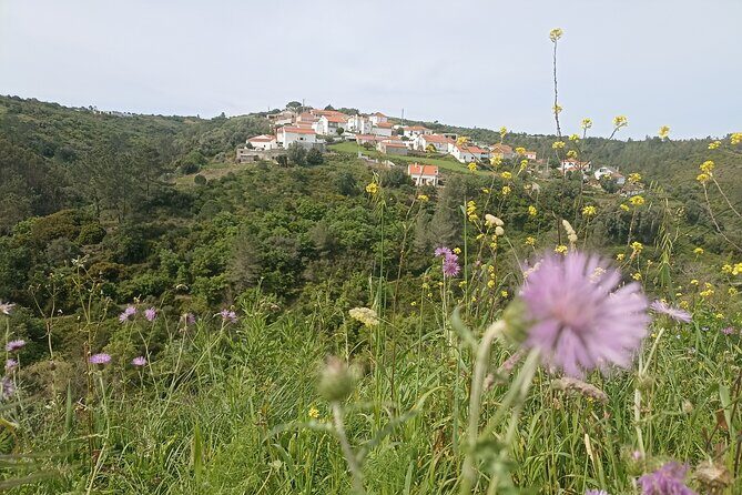 Hike & Wine Ericeira - Pricing and Value: Is It Worth It?