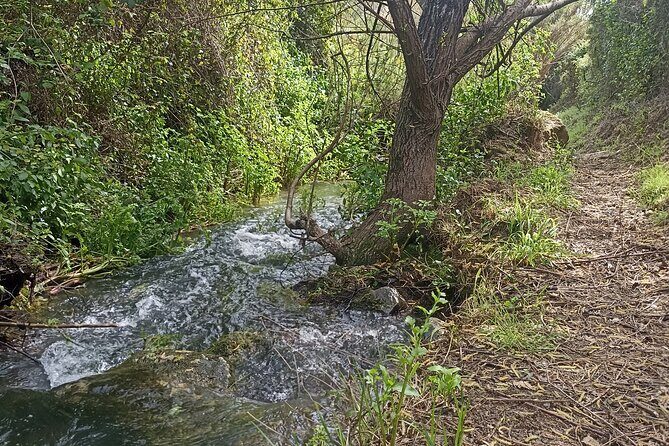 Hike & Wine Ericeira - Practical Tips: Making the Most of Your Day