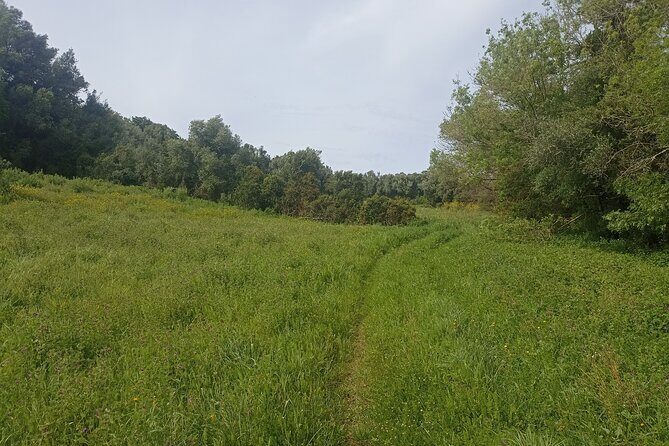 Hike & Wine Ericeira - Who Should Consider This Tour?