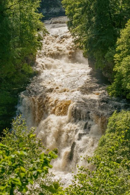 Hike World Heritage Reserve Waterfalls - An Honest Look at the Waterfalls of the River Clyde Tour