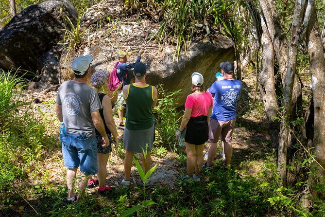 Hiking Adventure in Puerto Vallarta - What to Expect from the Tour