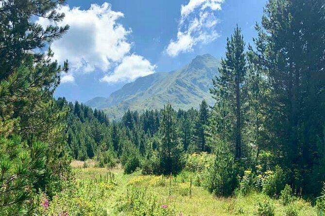 Hiking adventure in Sharri - The Sum Up: Who Is This Tour Perfect For?