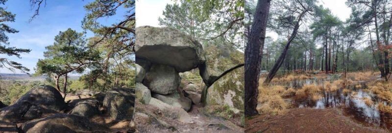 Hiking Adventure in the Fontainebleau Forest - Why Consider This Fontainebleau Forest Hike?