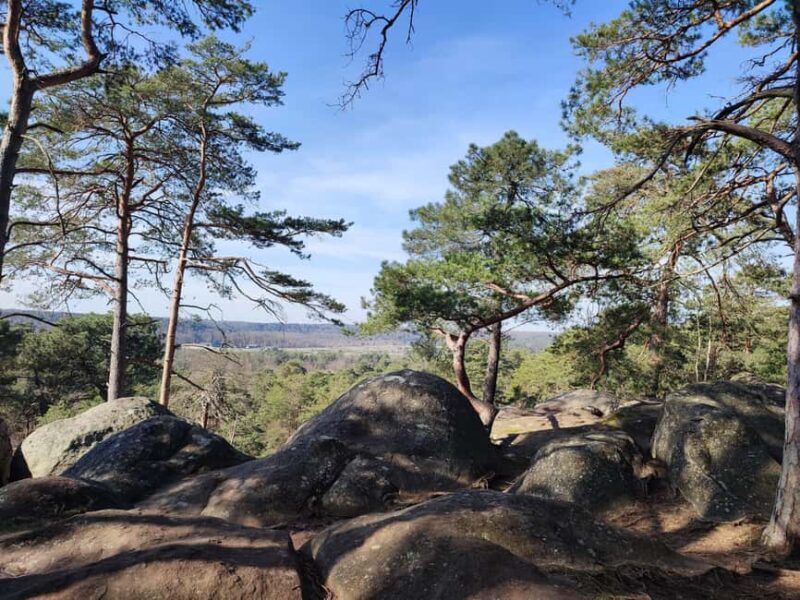 Hiking Adventure in the Fontainebleau Forest - What to Bring and Practical Tips