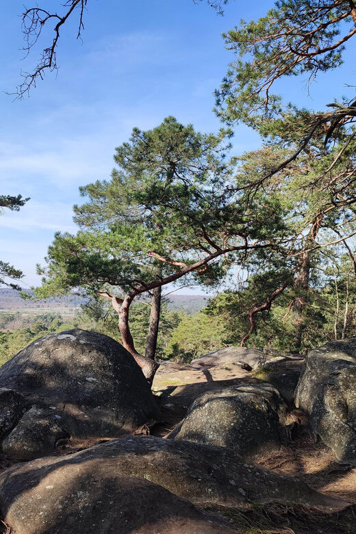 Hiking Adventure in the Fontainebleau Forest - Final Thoughts