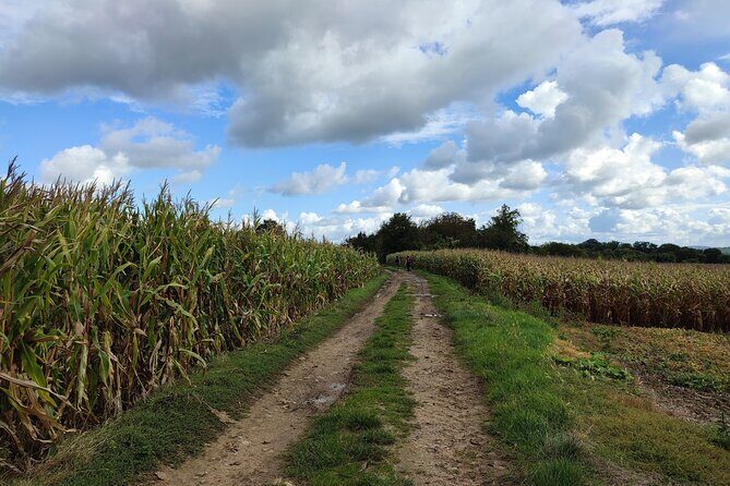 Hiking Adventure in Van Gogh's Footsteps with 6 miles walk - Final Thoughts